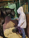 Equine Acupressure practitioner clinic in Oklahoma